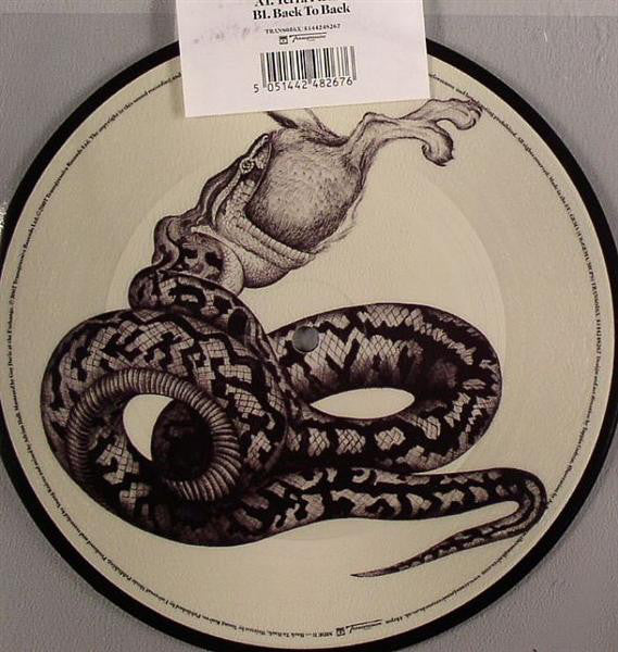 Young Knives - Terra Firma - Used Vinyl Record 7"