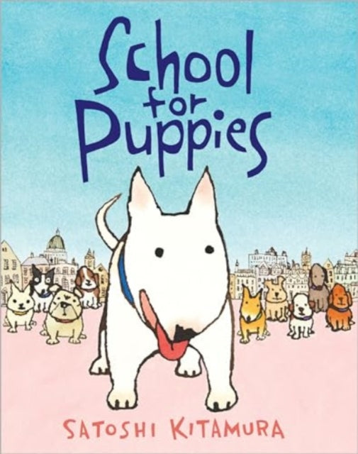 Satoshi Kitamura - School for Puppies - Hardback