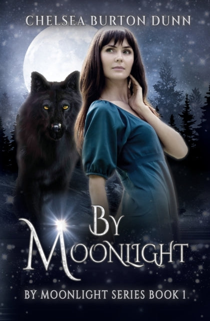 Burton Dunn - By Moonlight - New paperback or softback