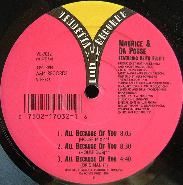 Maurice Joshua - All Because Of You - Used Vinyl Record 12"