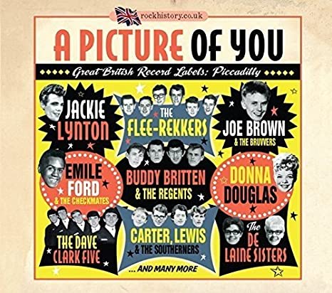 VARIOUS ARTISTS - A PICTURE OF YOU - GREAT BRITI - CD
