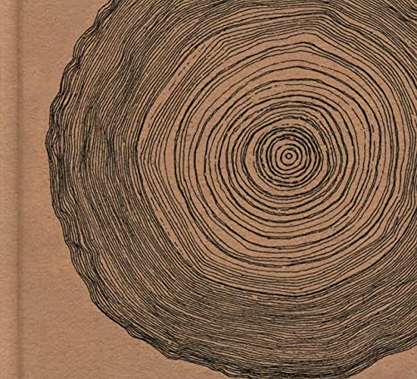 Ó - Year Of The Rabbit (Deluxe CD - CD