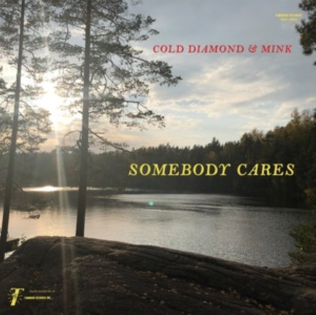 COLD DIAMOND & MINK - SOMEBODY CARES - Vinyl Record VL