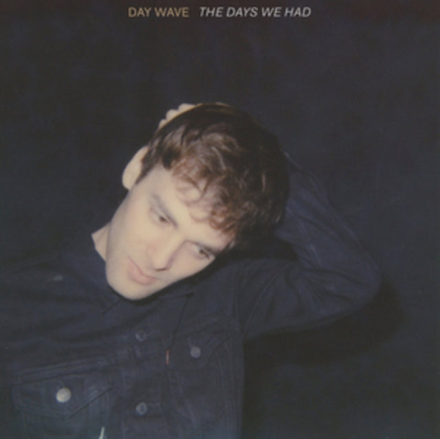 Day Wave - Days We Had - Vinyl Record