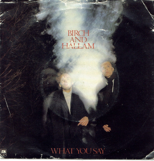 Birch And Hallam - What You Say - Used Vinyl Record 7"