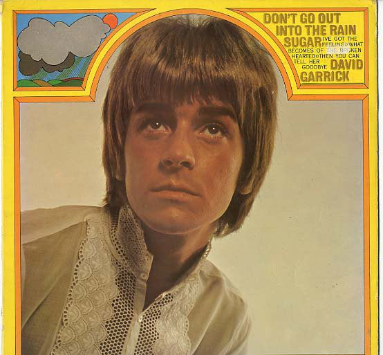 David Garrick - Don't Go Out Into The Rain - Used Vinyl Record