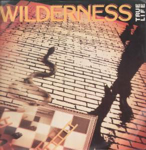 Wilderness - True Life - Used Vinyl Record 7"