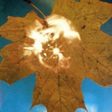 SOYUZ - Force of the Wind CD - CD
