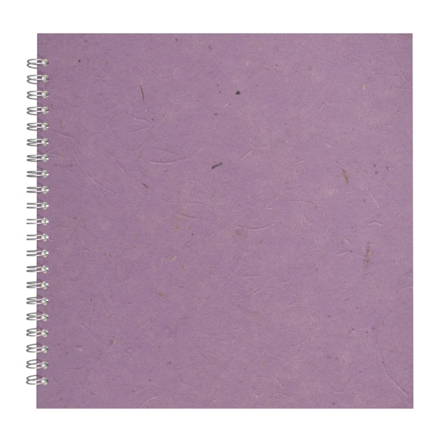 11x11 Posh Black Display 25lvs Amethyst Banana - New Paperback