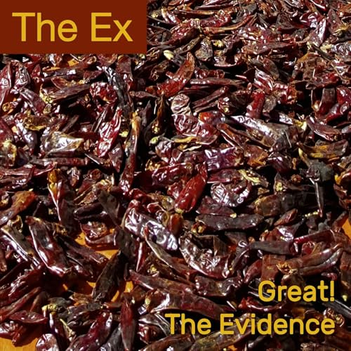 EX - GREAT! / THE EVIDENCE - New Vinyl Record 7