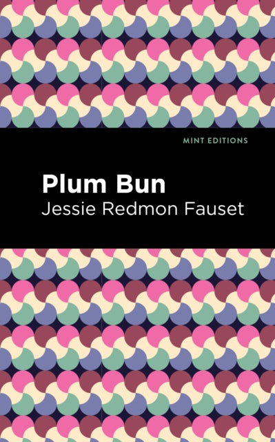 Fauset - Plum Bun A Novel Without a Moral - New hardback or cased bo