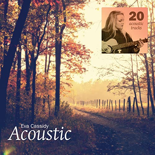 Acoustic (2LP 180g vinyl) - New Vinyl Record Album
