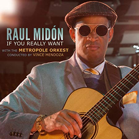 Raul Midon - If You Really Want - CD