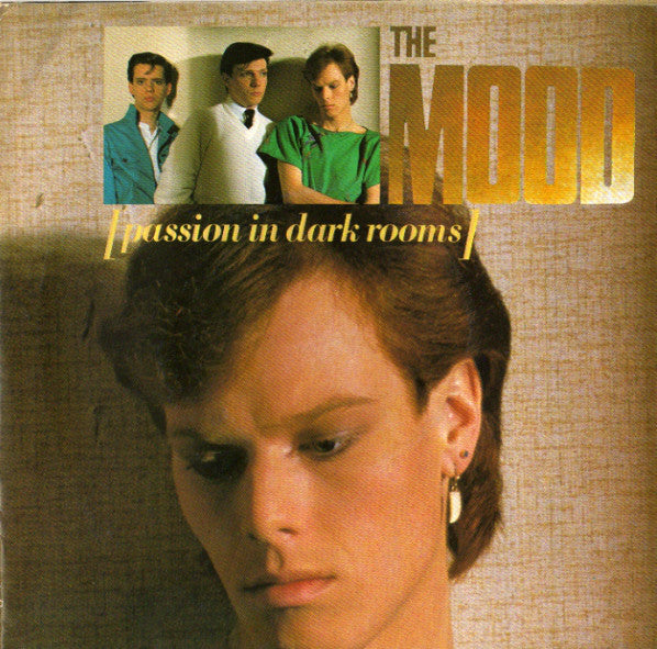 Mood - Passion In Dark Rooms - Used Vinyl Record 7"