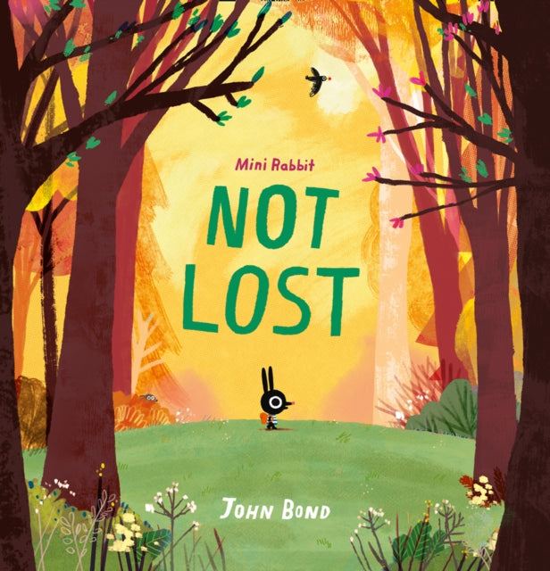 John Bond - Mini Rabbit Not Lost - Paperback
