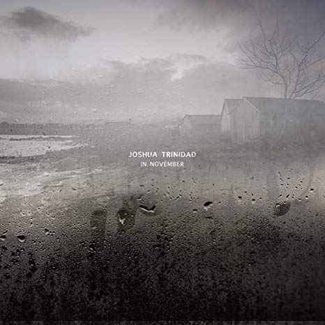 Joshua Trinidad - In November - CD