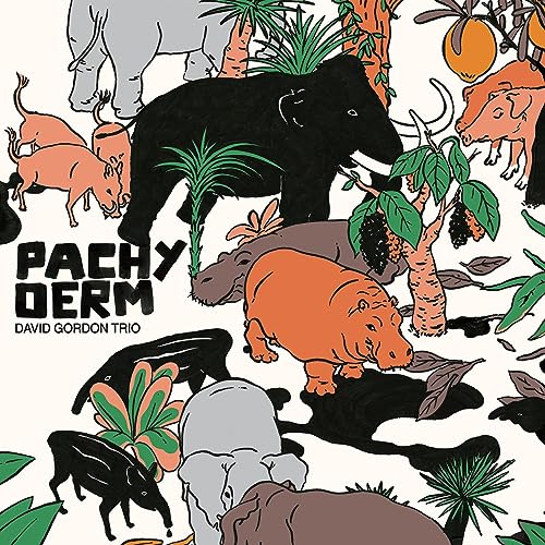 David Gordon Trio - Pachyderm - Vinyl Record