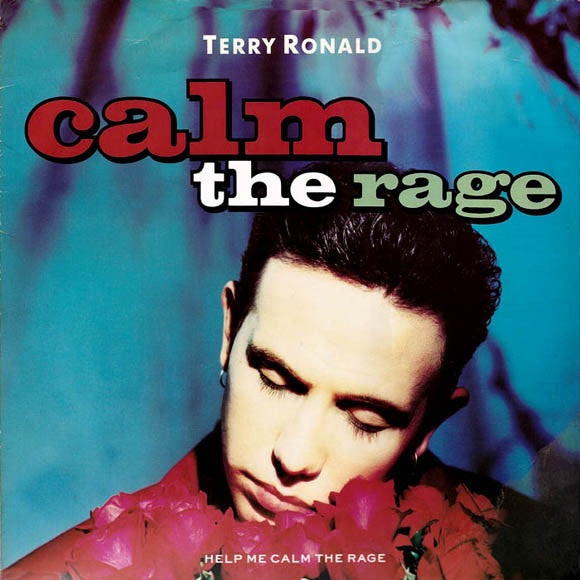Terry Ronald - Calm The Rage - Used Vinyl Record 12"