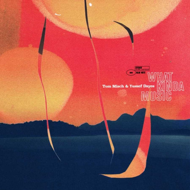 TOM & YUSSEF DAYES M - What Kinda Music - Vinyl Record L.P. SET