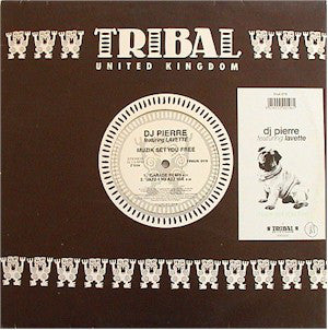 DJ Pierre - Muzik Set You Free - Used Vinyl Record 12"