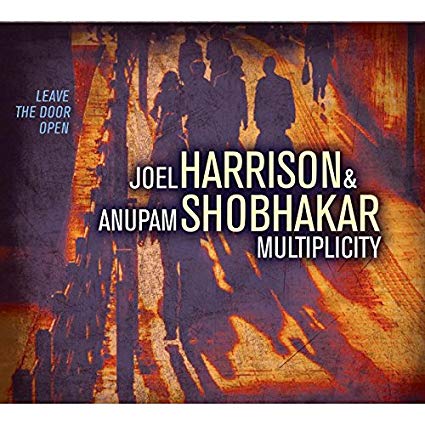 Joel Harrison - Multiplicity: Leave The Door Open - CD