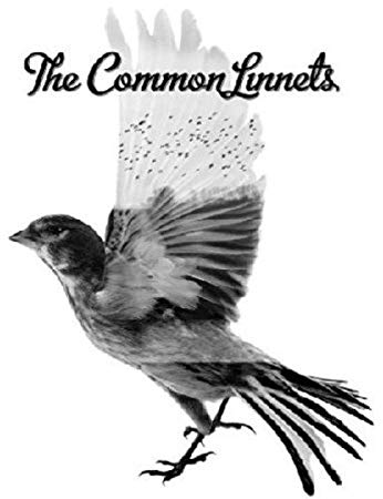 Common Linnets - CD