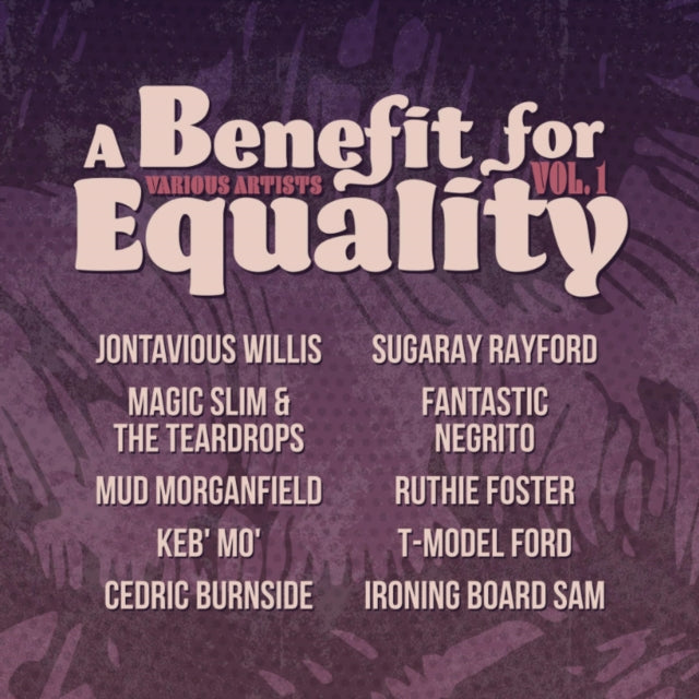 VARIOUS ARTISTS - BENEFIT FOR EQUALITY VOL. 1 (I) - Vinyl Record