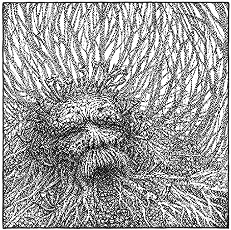 NEMOROUS - (WHITE/BLACK VINYL) - Vinyl Record lp