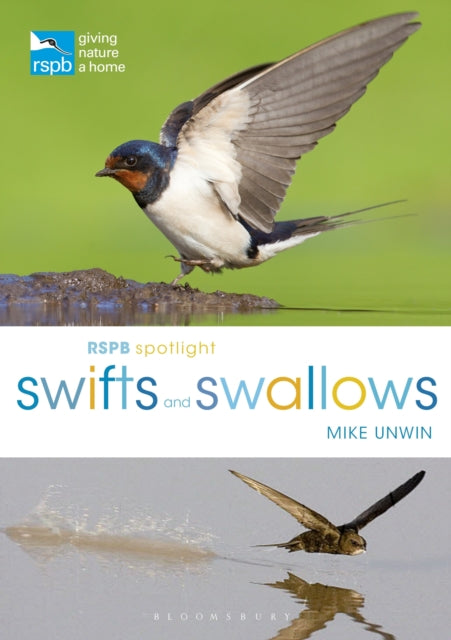Mike Unwin - RSPB Spotlight Swifts and Swallows - Paperback