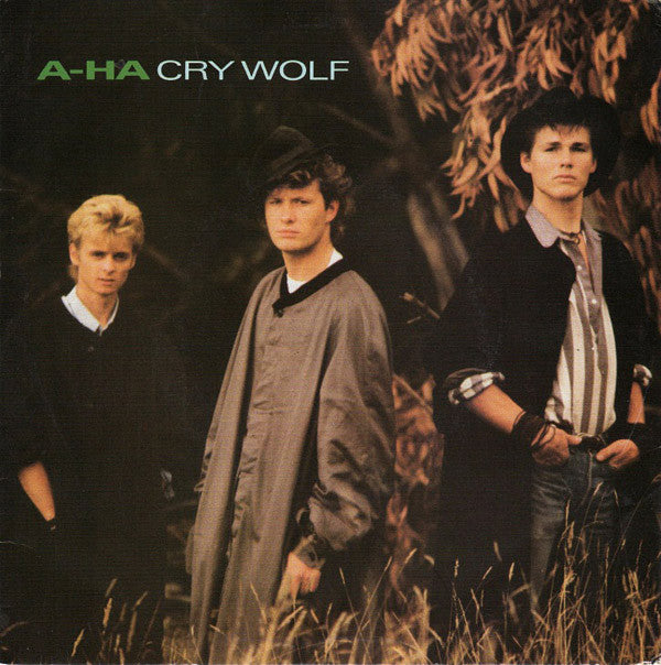 a-ha - Cry Wolf - Used Vinyl Record 7"