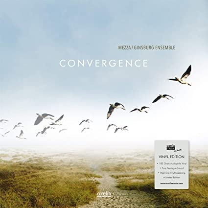 Mezza / Ginsburg Ens - Convergence - Vinyl Record