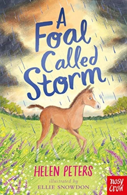 Helen Peters - A Foal Called Storm - Paperback