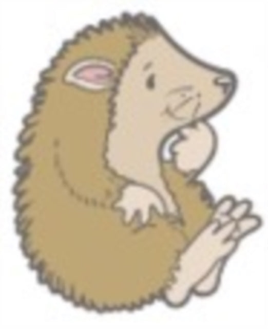Hedgehog Character Pin Badge - Non-book item