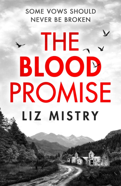 Liz Mistry - Blood Promise : Book 1 - Paperback