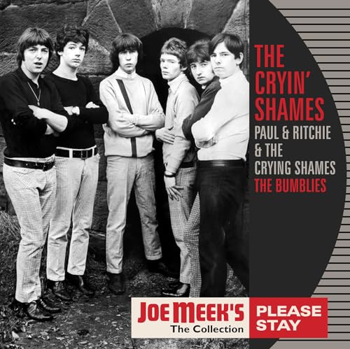 CRYIN SHAMES / PAUL - Please Stay - Vinyl Record