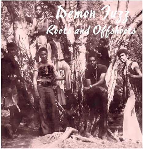 DEMON FUZZ - ROOTS AND OFFSHOOTS - Vinyl Record