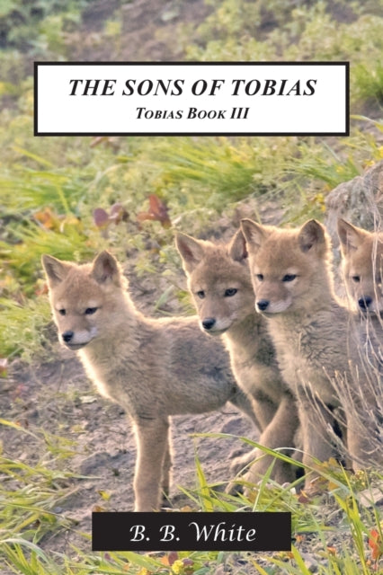 Whit - Sons of Tobias: Tobias Book III - New paperback or softback