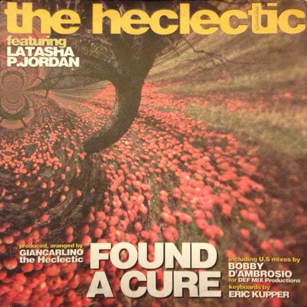 Heclectic - Found A Cure - Used Vinyl Record 12"