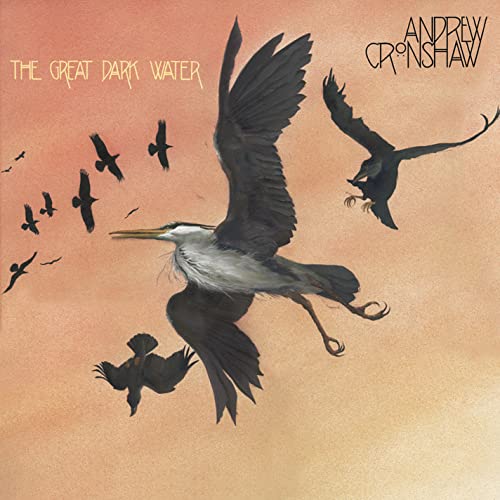 Andrew Cronshaw - Great Dark Water - CD