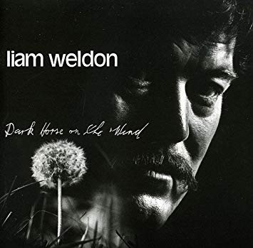 Liam Weldon - Dark Horse On The Wind - CD