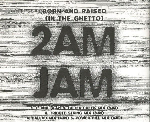 2am Jam - Born And Raised (In The Ghetto) - Used CD