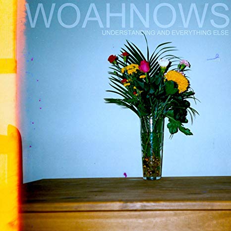 Woahnows - Understanding And Everything Else - Vinyl Record