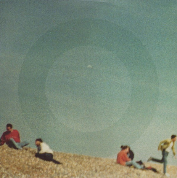 Orbital - Style - Used Vinyl Record 12"