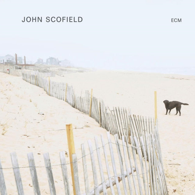 SCOFIELD JOHN - John Scofield - Vinyl Record
