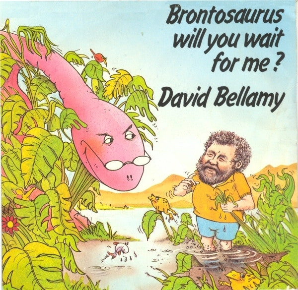 David Bellamy - Brontosaurus Will You Wait For Me? - Used Vinyl Record