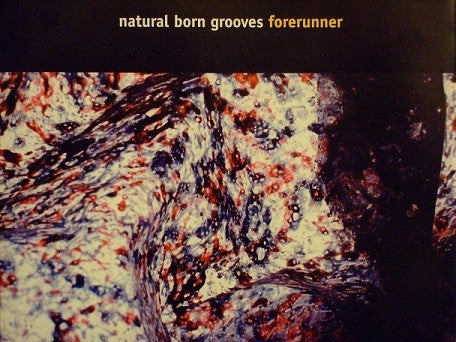 Natural Born Grooves - Forerunner - Used CD