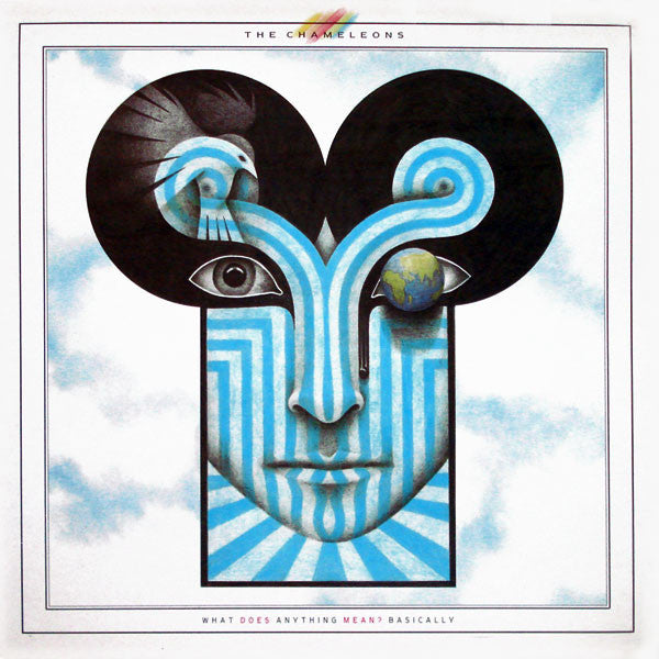 Chameleons - What Does Anything Mean? Basically - Used Vinyl Record