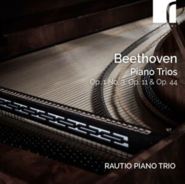 RAUTIO PIANO TRIO - BEETHOVEN PIANO TRIOS OP. 1 NO - CD