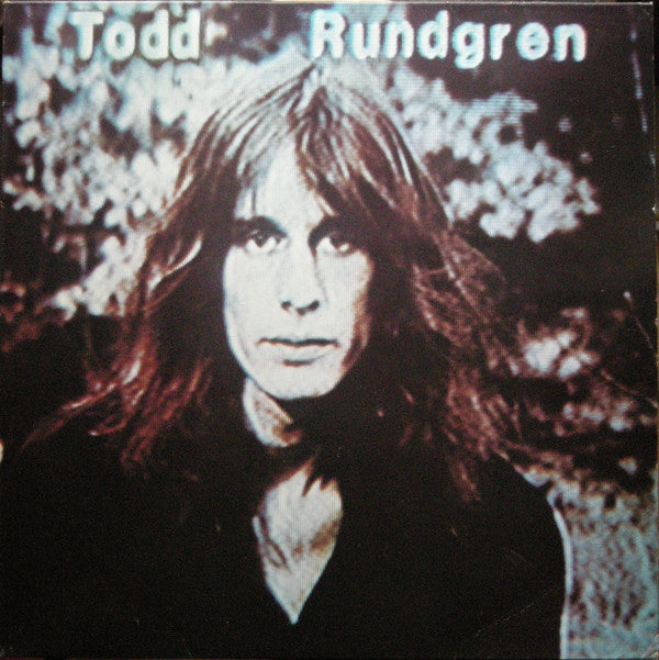 Todd Rundgren - Hermit Of Mink Hollow - Used Vinyl Record