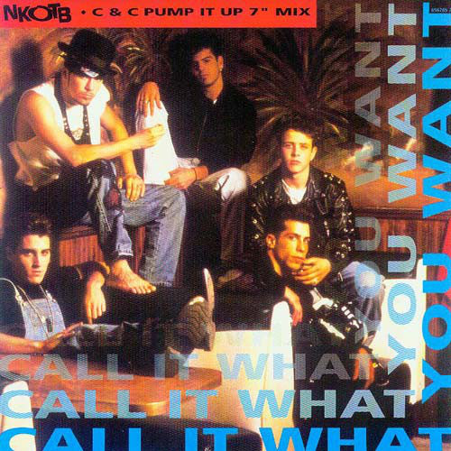New Kids On The Bloc - Call It What You Want - Used Vinyl Record 7"